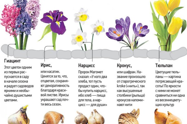 Купить наркотики в москве