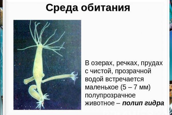 Kraken торговая площадка ссылка