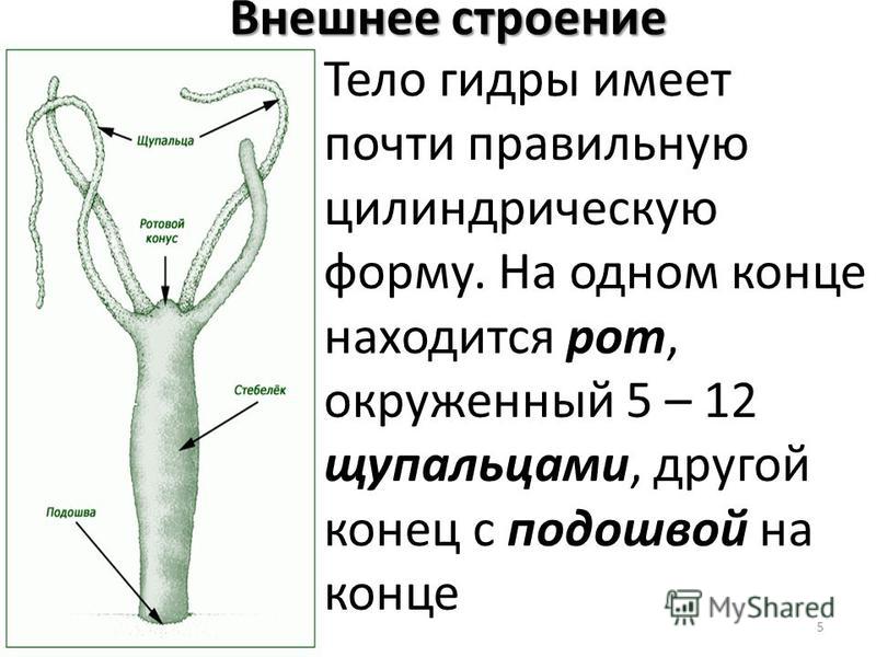 Vk8 at кракен